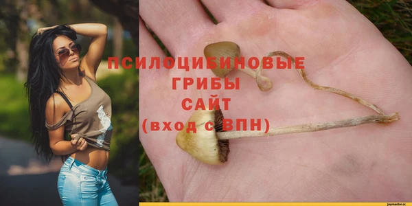 синтетический гашиш Гусиноозёрск