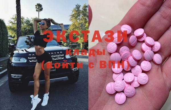 ECSTASY Гусь-Хрустальный