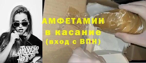 ECSTASY Гусь-Хрустальный