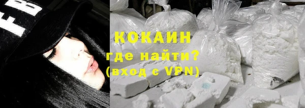ECSTASY Гусь-Хрустальный