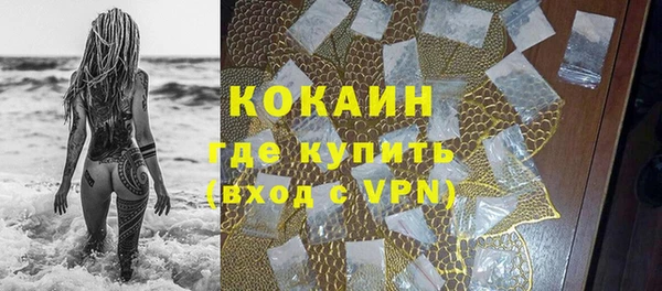 ECSTASY Гусь-Хрустальный
