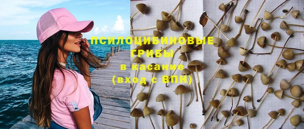 ECSTASY Гусев