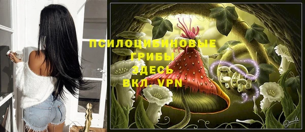 ECSTASY Гусев