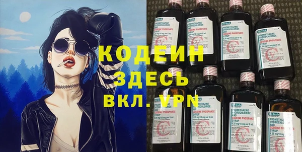 ECSTASY Гусь-Хрустальный