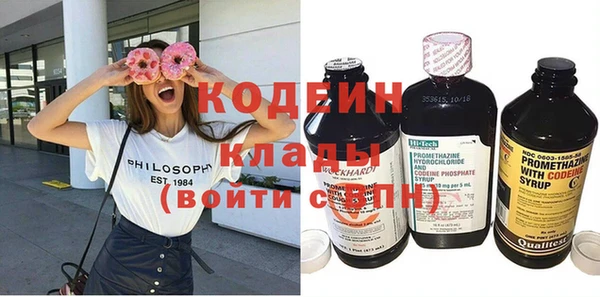 ECSTASY Гусь-Хрустальный