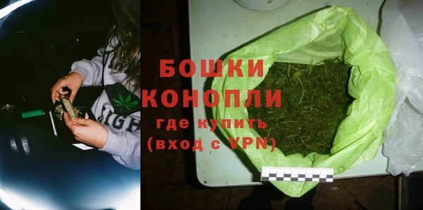 ECSTASY Гусь-Хрустальный