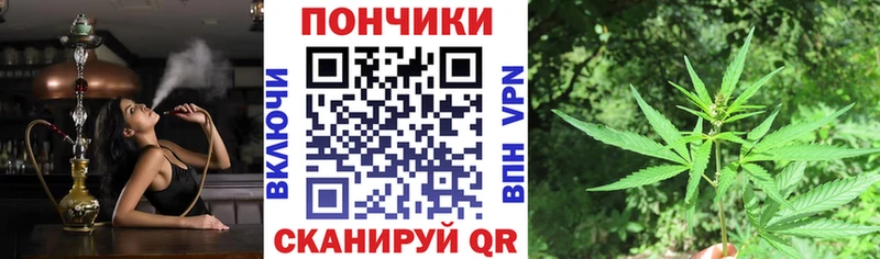 Шишки марихуана семена  Купить закладки  Правдинск 